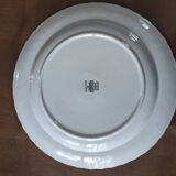 Large dish