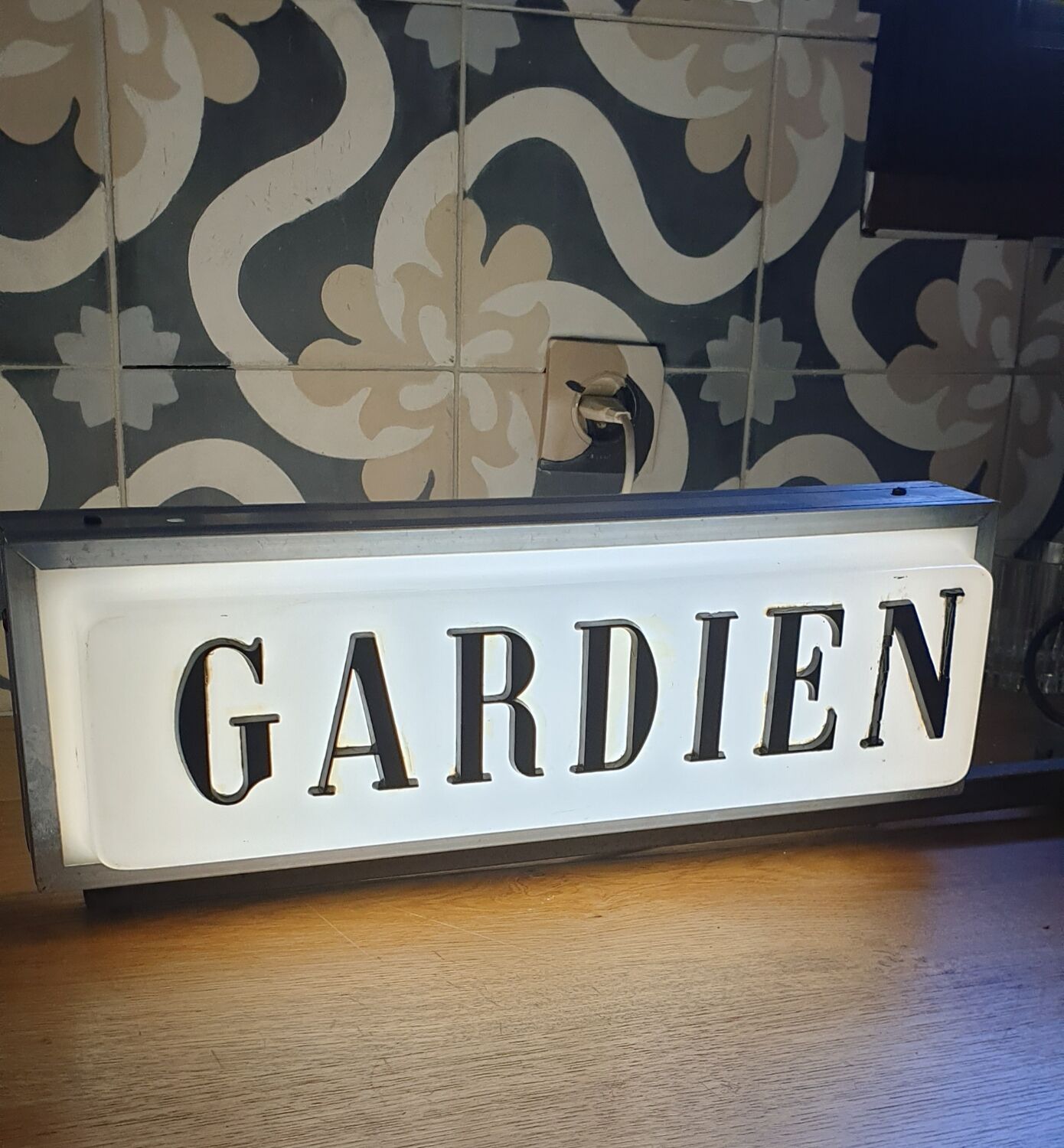 Illuminated panel guardian lodge