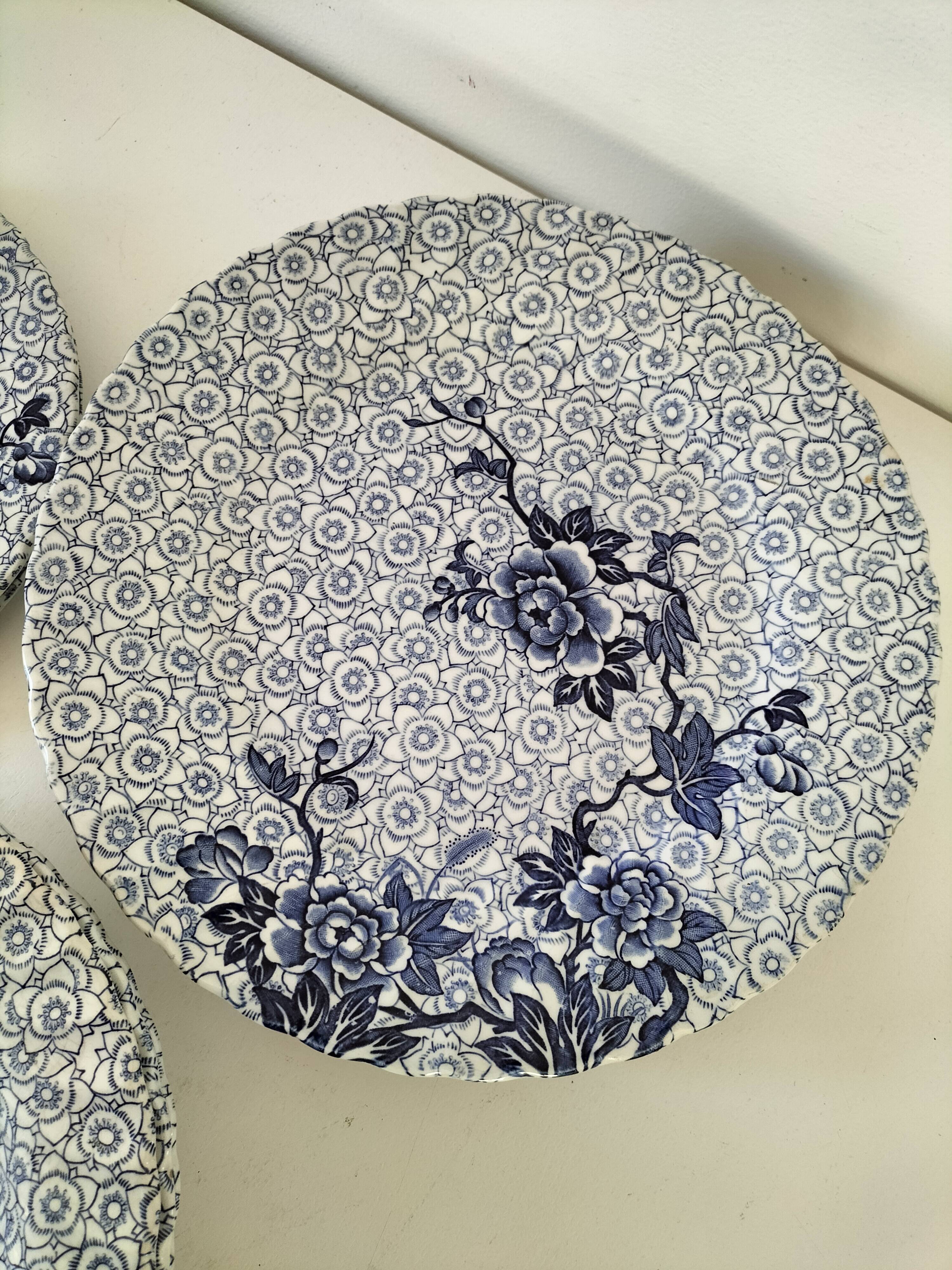 9 Johnson Brothers plates in the Lotus pattern.