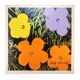 Lithographie en édition limitée Andy Warhol "Flowers" années 1980 par CMOA