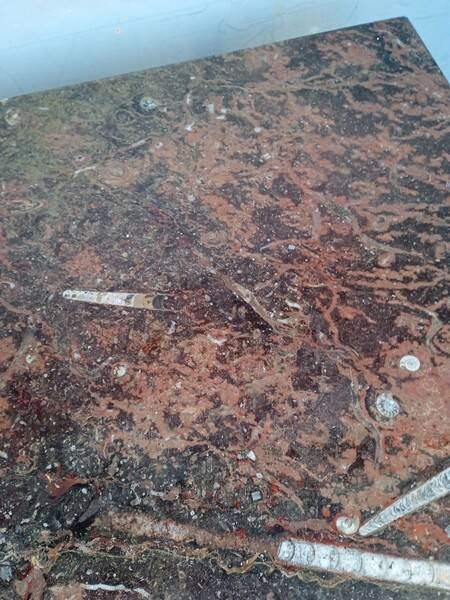 Fossil marble design coffee table 124cm