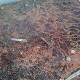 Fossil marble design coffee table 124cm