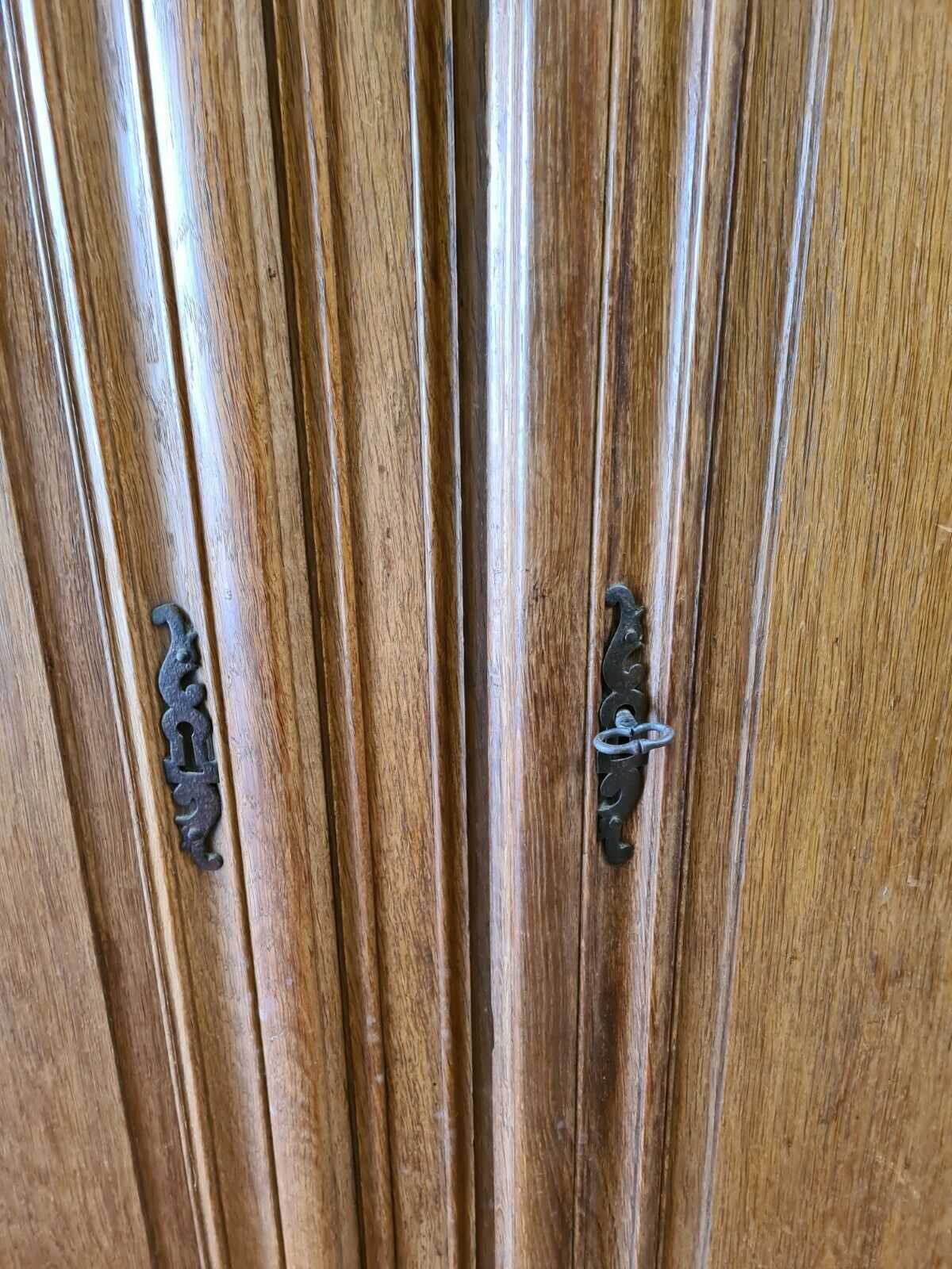 Pair of 19th century oak doors