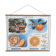 School poster the orange and the fur