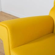 Mid-Century Armchair by Gigi Radice for Minotti, Italy, 1960s