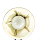 Hala Zonneserie vintage office lamp