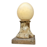 Ostrich egg