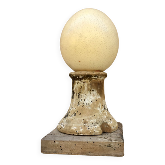 Ostrich egg