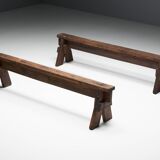 Bancs d'Art Populaire Brutaliste, France, 19ème Siècle