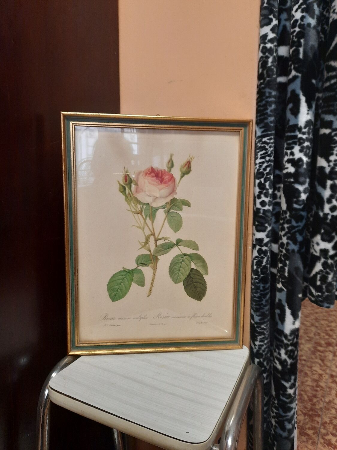 Framed botanical plate