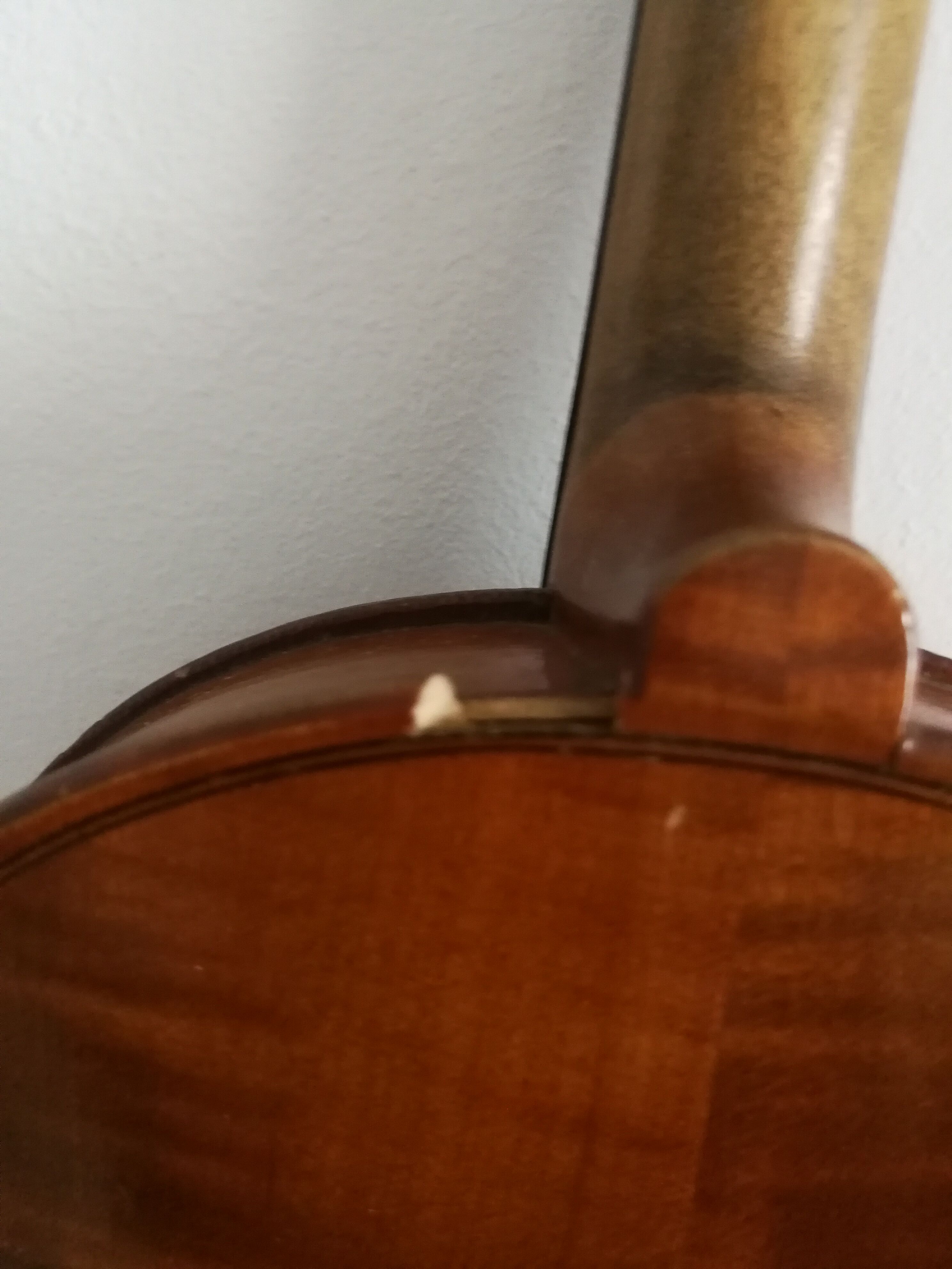 Violin'' Antonius Stradivarius' '
