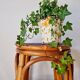 Vintage high stool Multicanne - Rattan & blue Rilsan - French