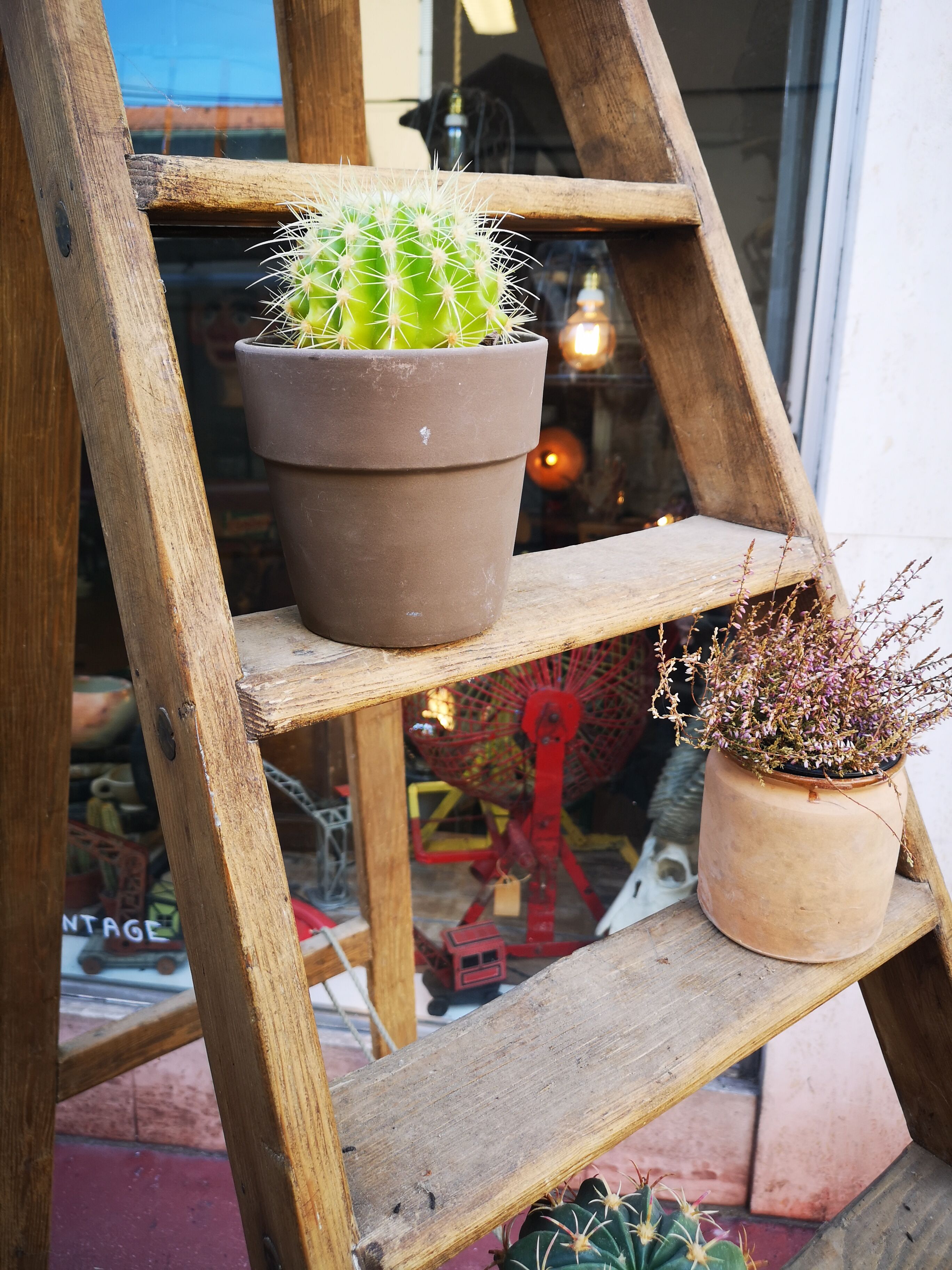 Wooden stepladder old