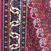 Carpet  Transylvania  170 x 268 cm