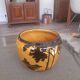 Orchies plant pot