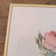 Framed lithograph of roses by P.J. Redouté