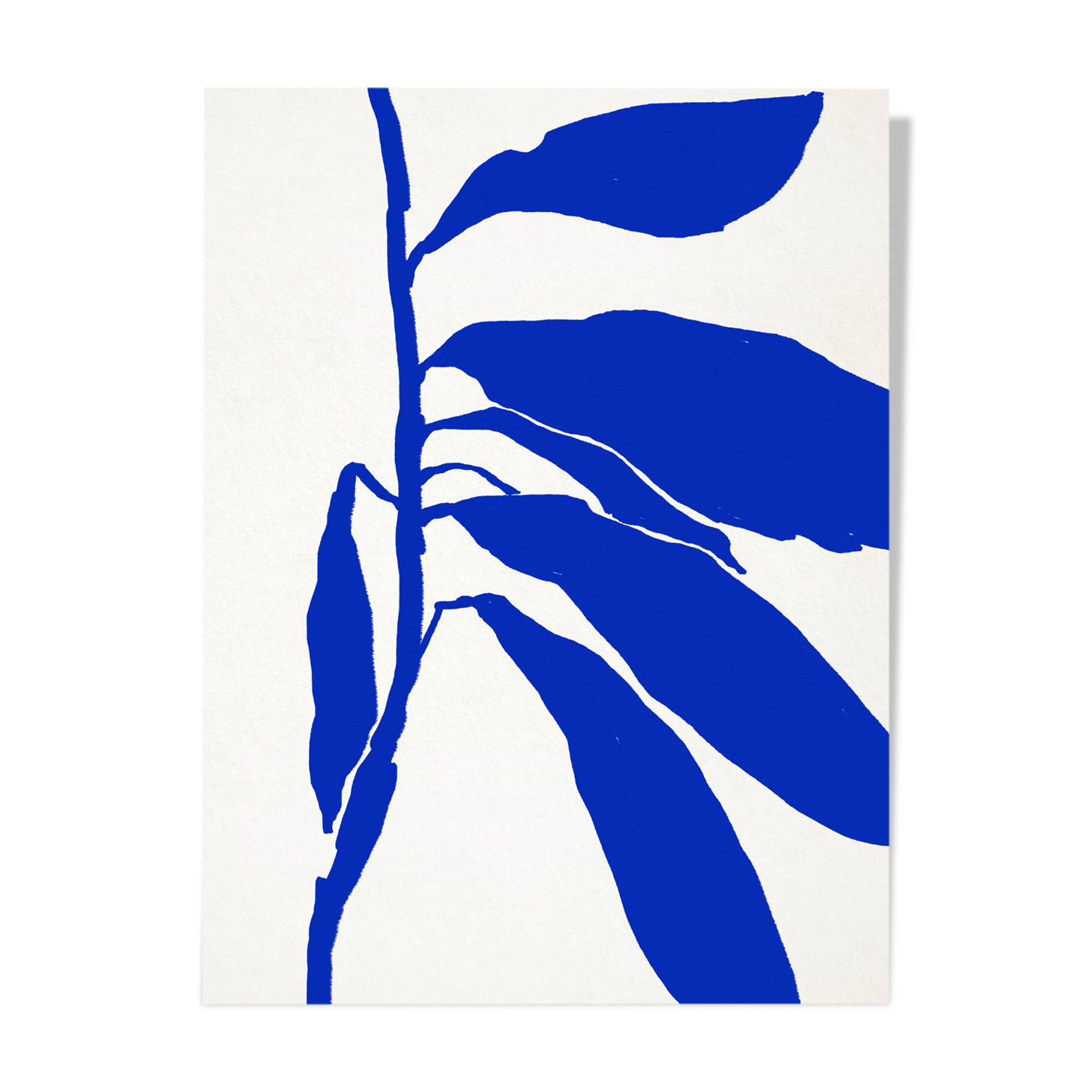 Botanical illustration in blue, 50x70cm