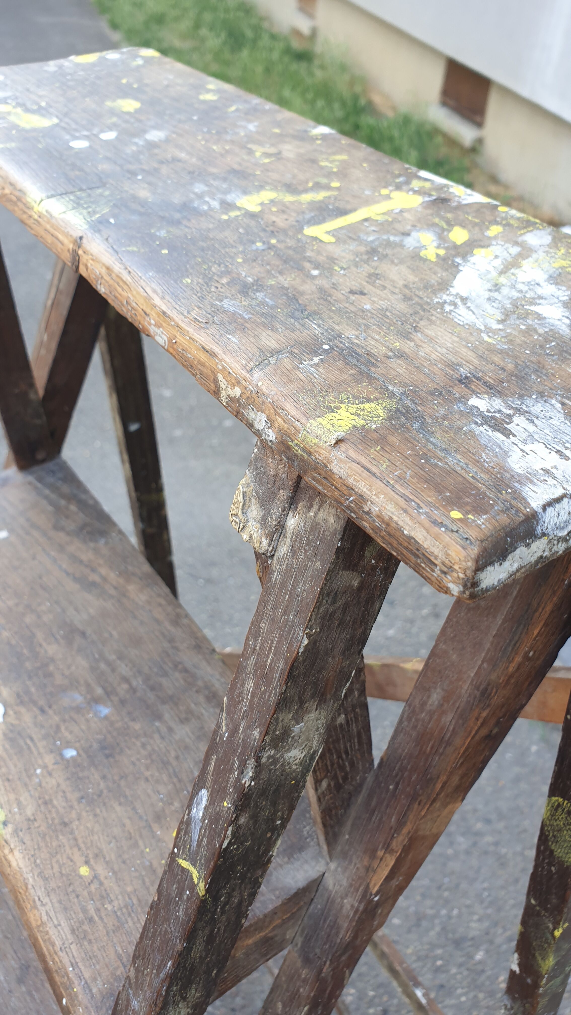 Painter's stepladder in solid beech