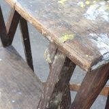 Painter's stepladder in solid beech