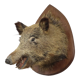 Wild boar head taxidermy wild boar bust stuffed animal 55cm