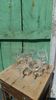 Chinon Rabelaisian glasses – Touraine – vintage glassware