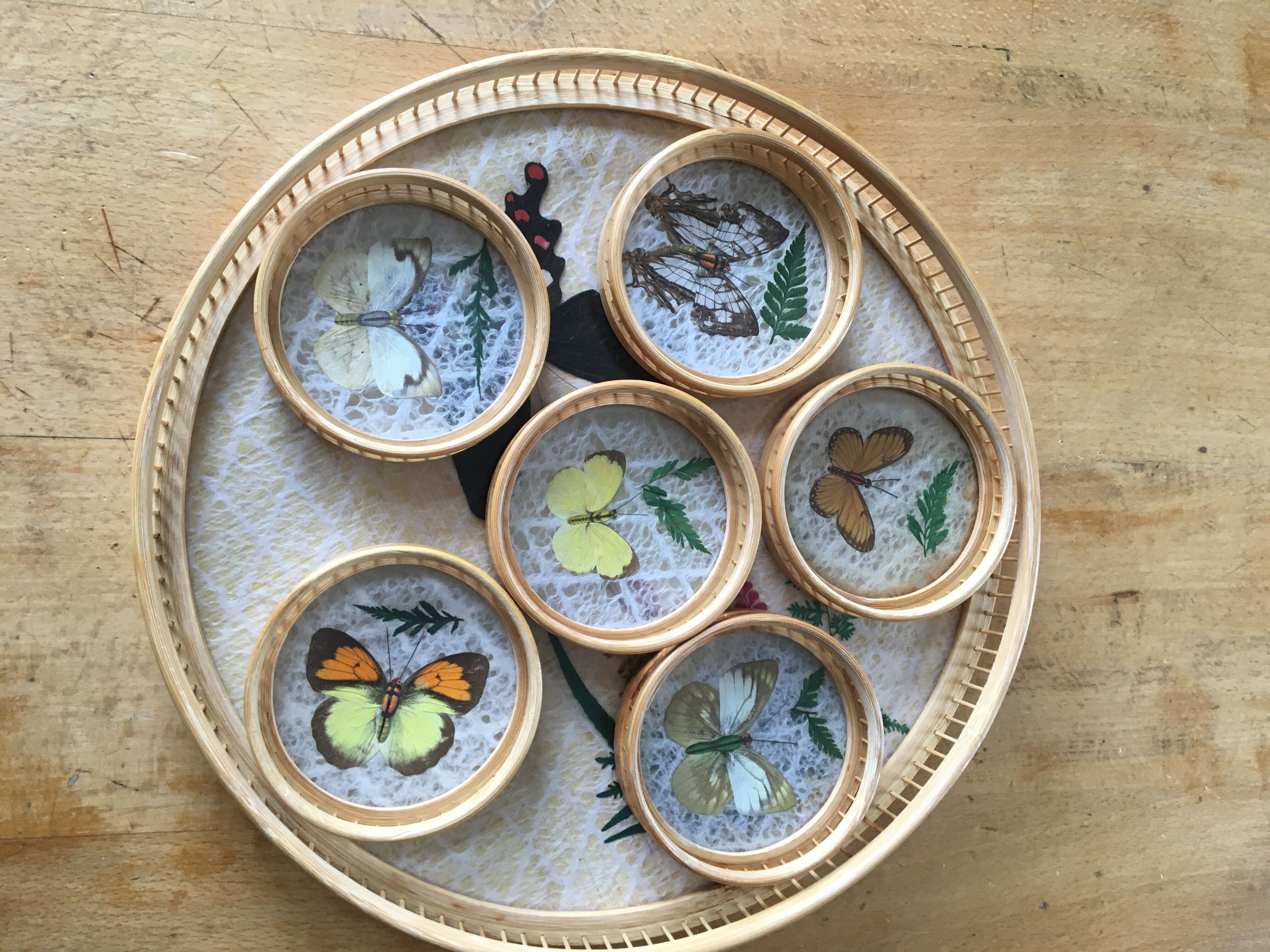 6 under glasses and its tray