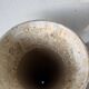 Willy Guhl planter cones x2