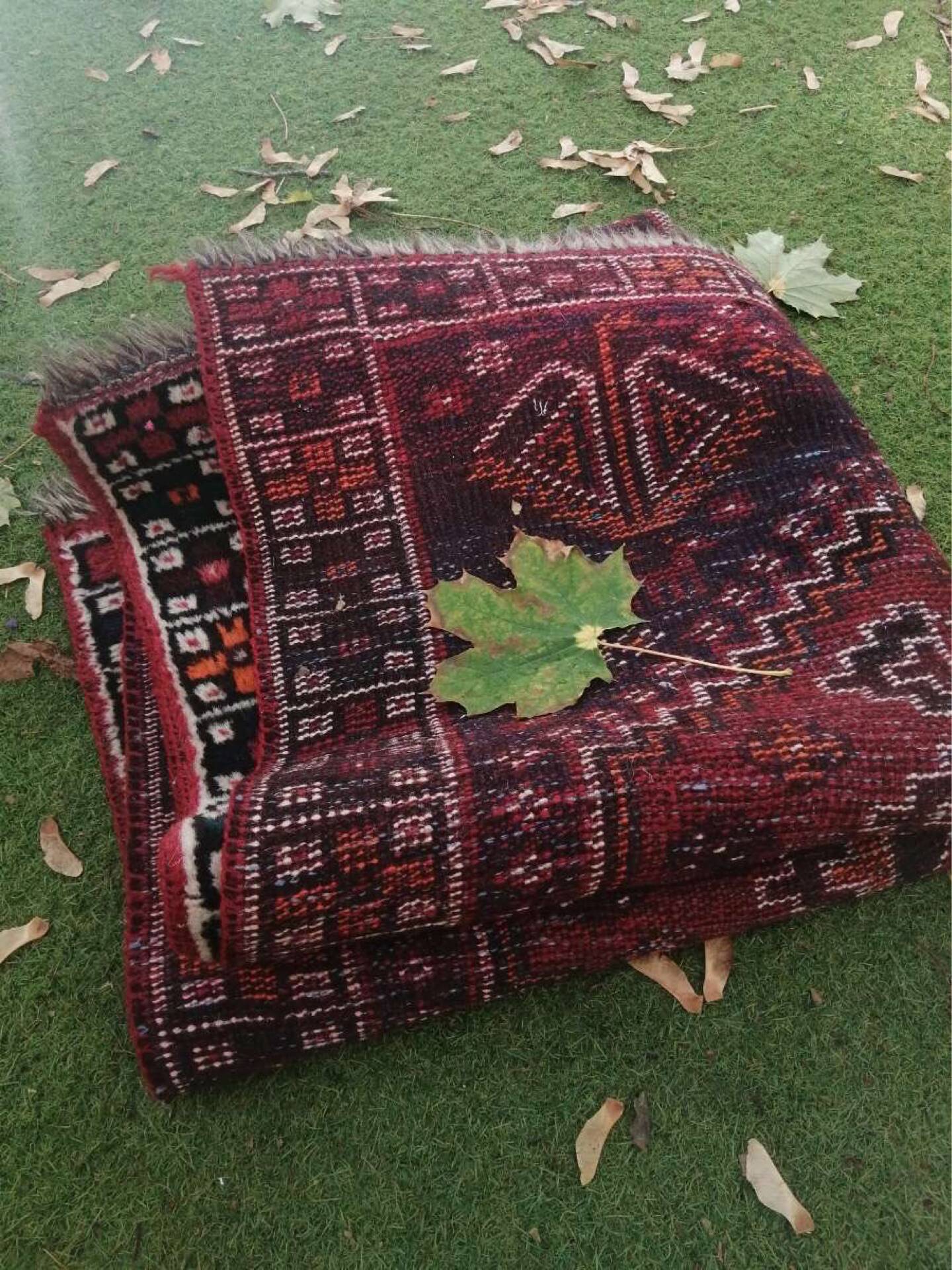 Handmade wool Persian carpet type Shiraz