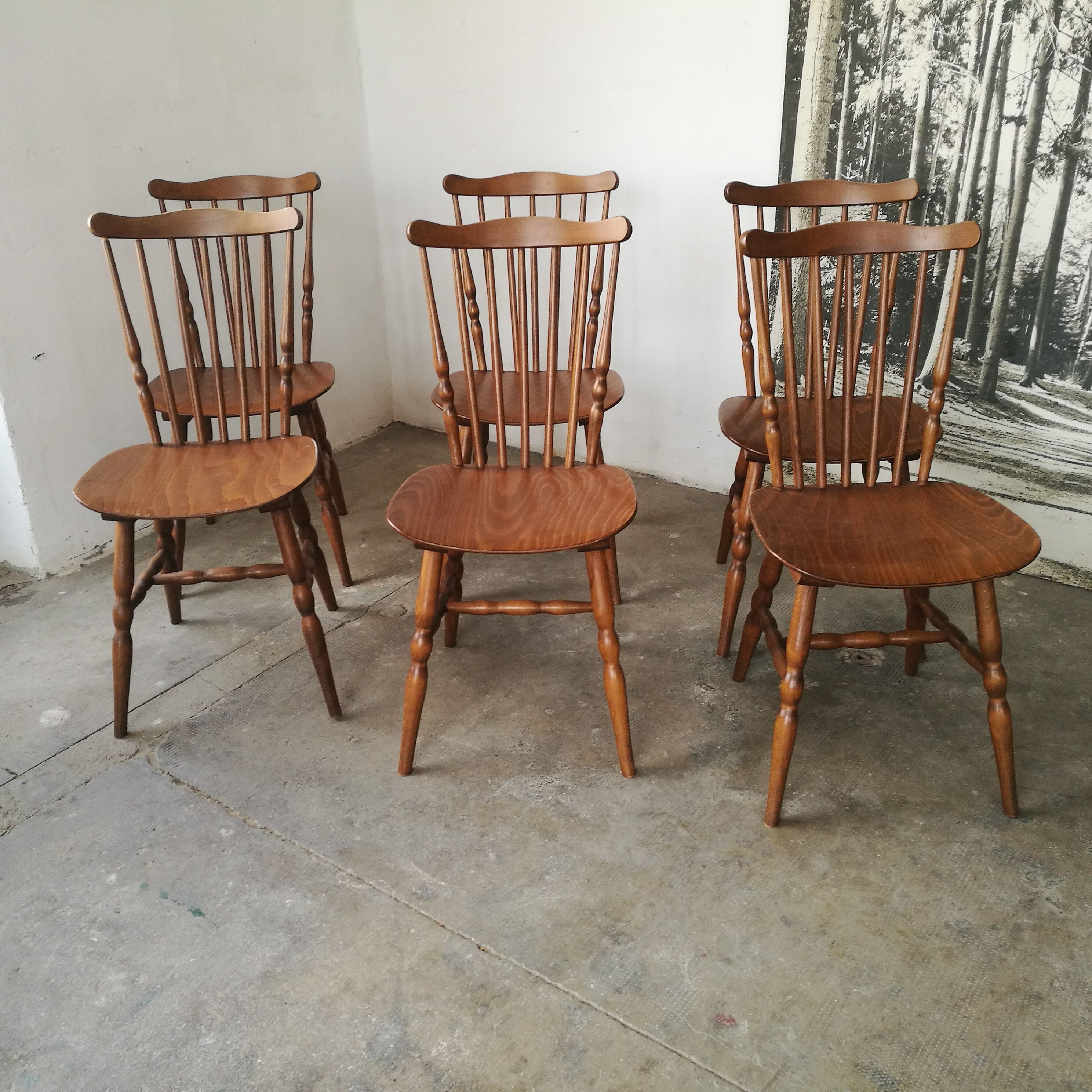 Set of 6 chairs bistro Tacoma by Baumann