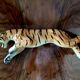 Ceramic tiger from Cortendorf, Julius Griesbach S., Germany 1960