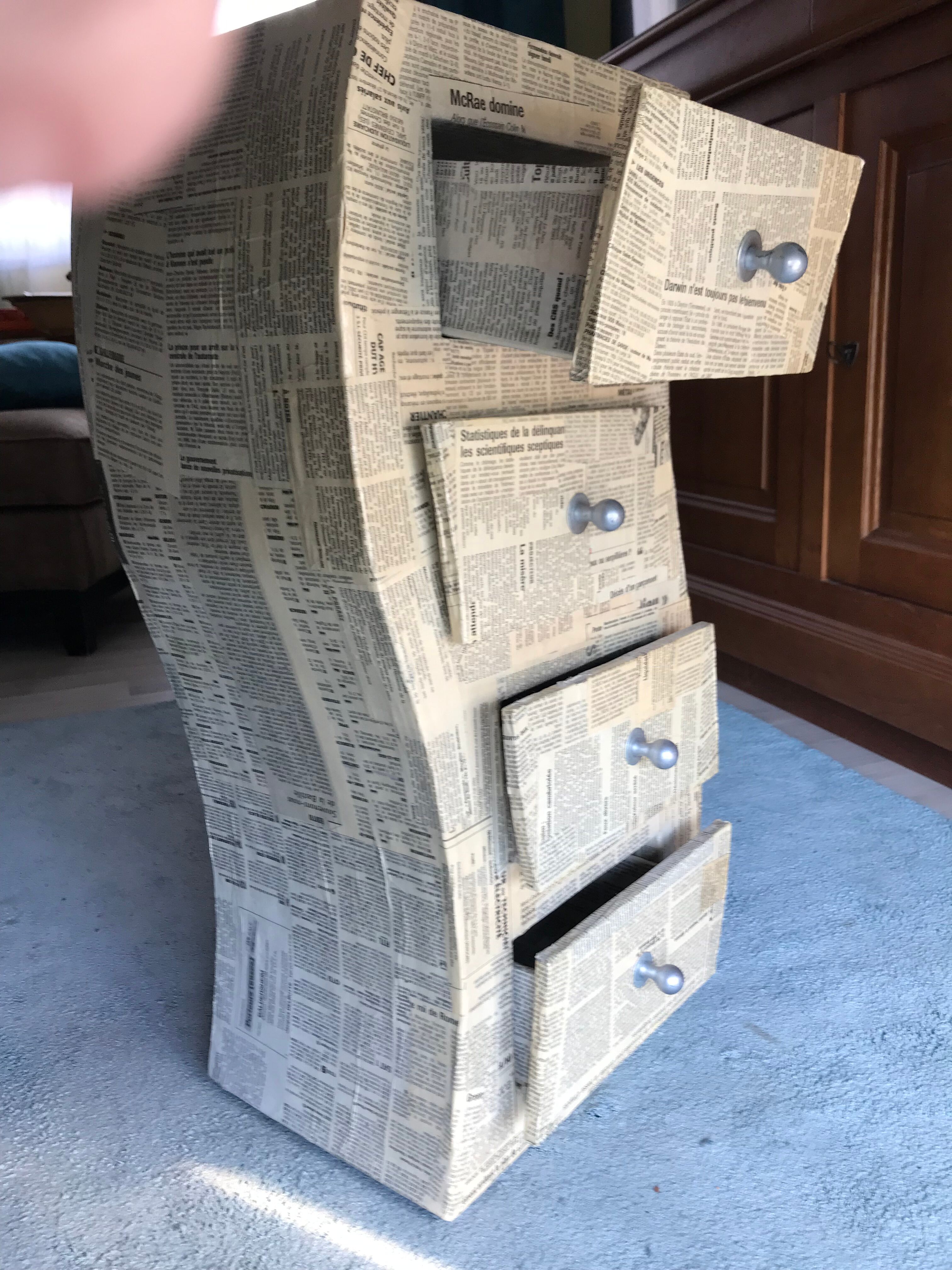 Cardboard chest of drawers