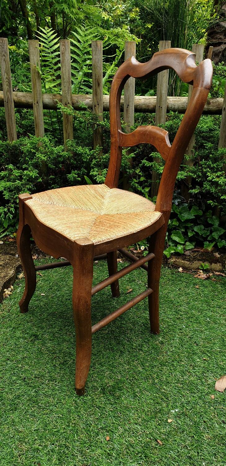 Louis Philippe chair in cherry wood circa 1900