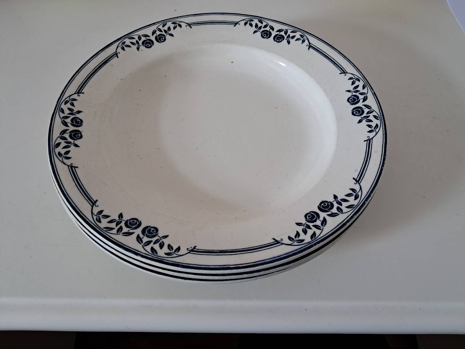 Saussure deep plates, Terre de Fer EC