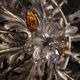 Florentine ceiling light from the 1970s, Banci Firenze