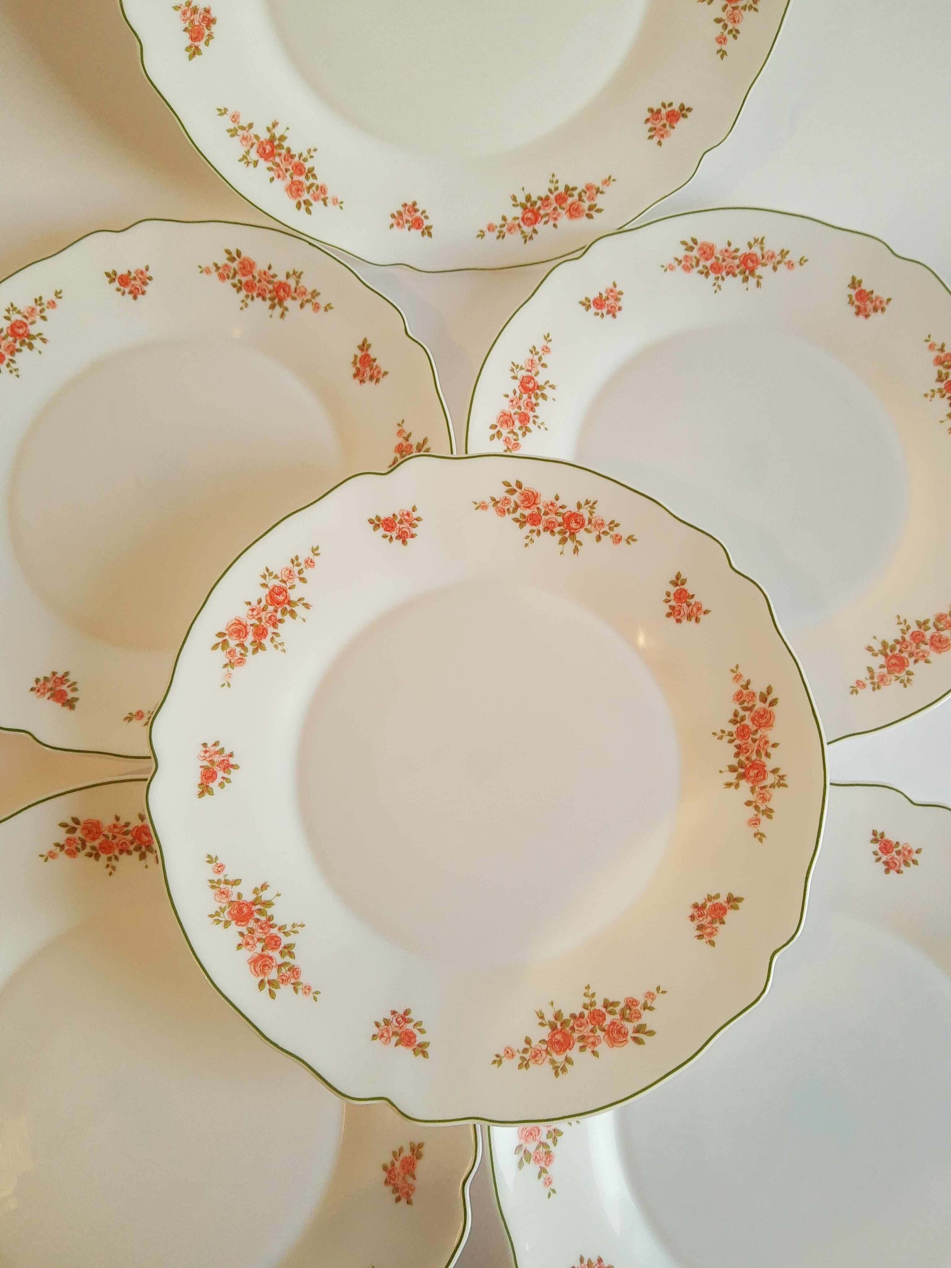 Set of 6 flat plates Arcopal vintage floral decoration
