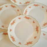 Set of 6 flat plates Arcopal vintage floral decoration