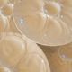 5 white porcelain oyster plates by Pillivuyt