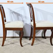Suite of 5 Cuban Mahogany Chairs, Restoration Period – Early 19th Century