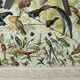 Gravure ancienne 1898, Oiseaux 2: espèces, paradisier • Lithographie, illustration originale