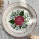 6 Mismatched Vintage Plates with Floral Pattern