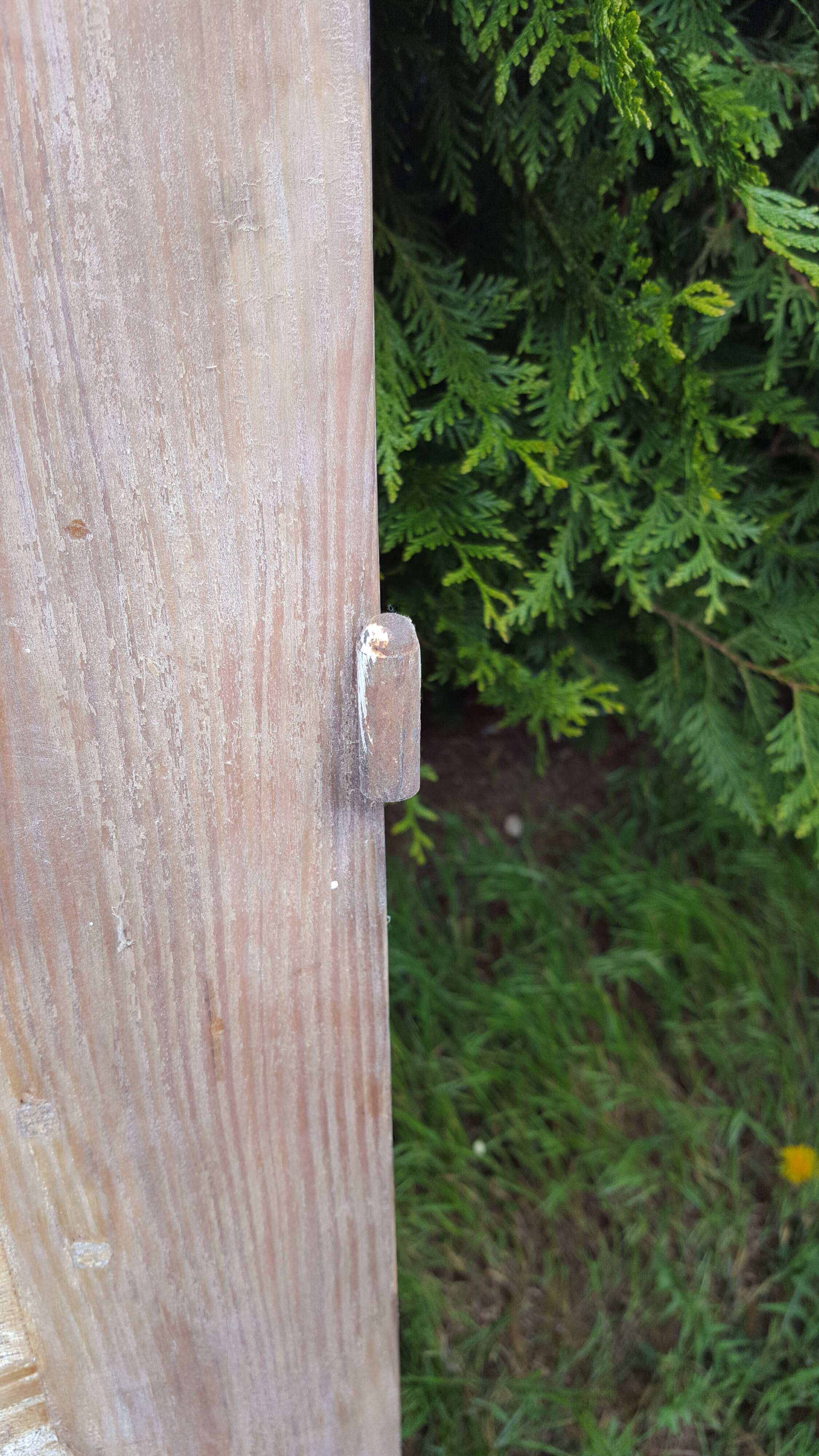 Old moulded separation door