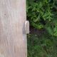Old moulded separation door