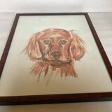 Aquarelle de chien setter
