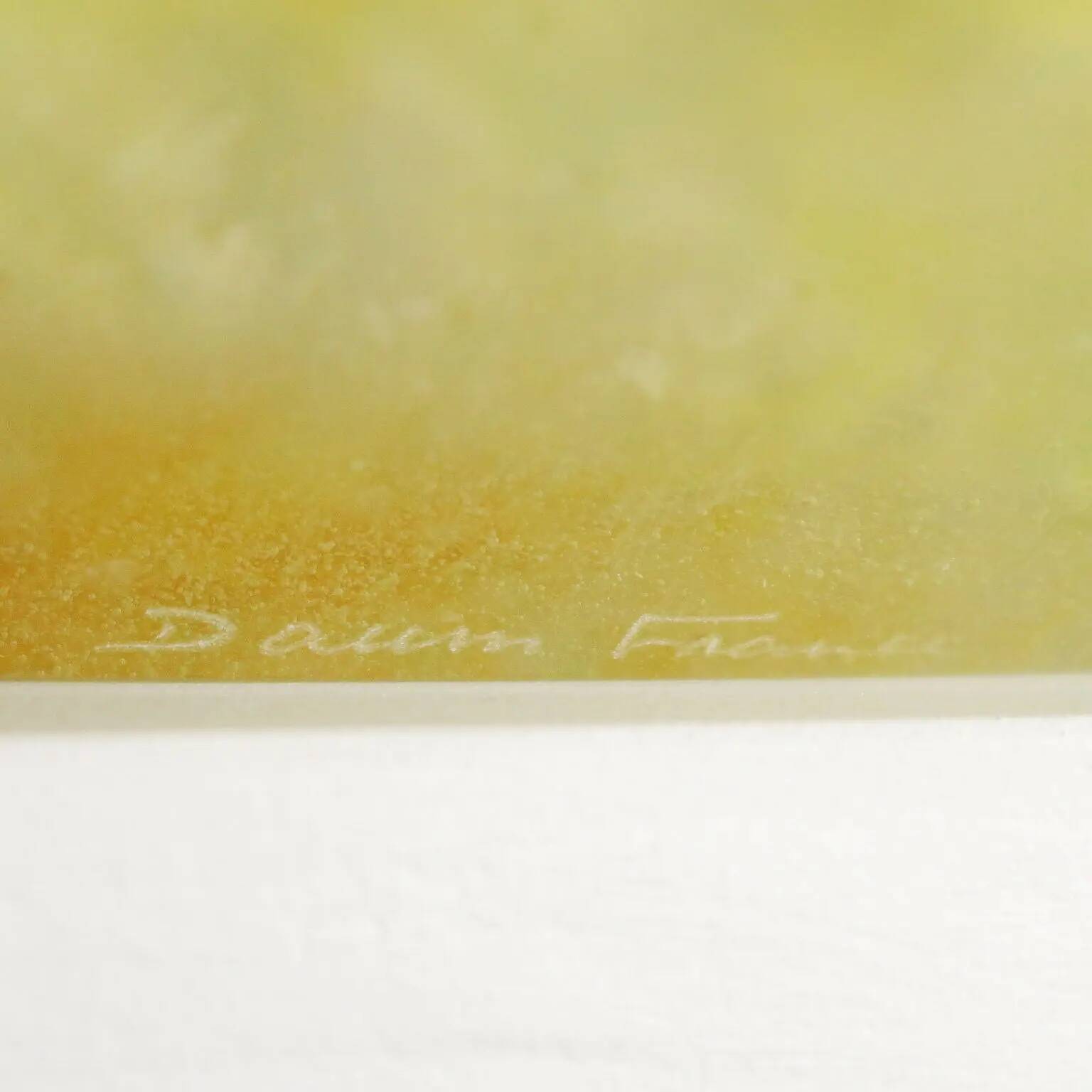 Vintage Mimosa plate by Daum Manufacture in crystal paste, 20th century.