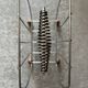Magazine rack