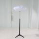 Mid-Century Modern Floor Lamp, Model G-34, Bergboms, Sweden, 1960s