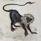 Original zoological plate "Guinea Monkey, Camail, Roloway - Buffon 1838"