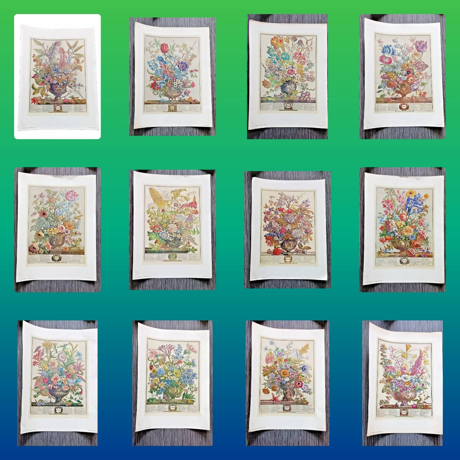 Lot of 19th century Floral Engravings - Vintage Art Print Flowers - 12 months - Robert Furber