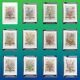 Lot of 19th century Floral Engravings - Vintage Art Print Flowers - 12 months - Robert Furber