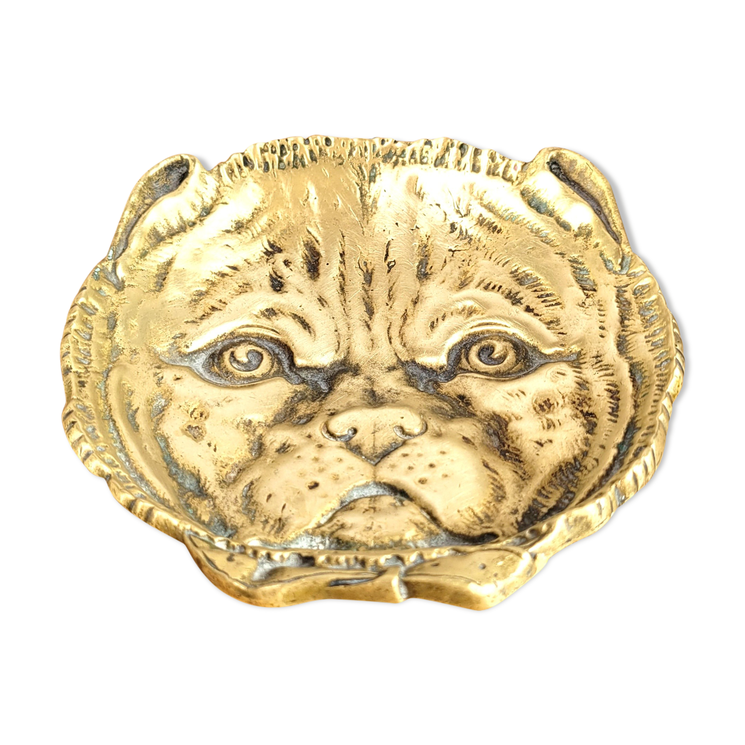 Empty pocket Brass Bulldog